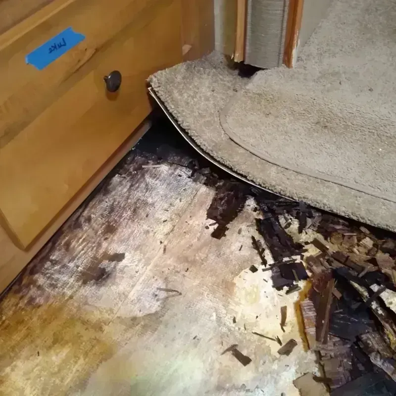 Best Wood Floor Water Damage Service in Superior, MT